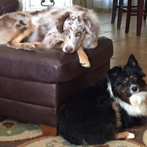 Meet your Posher, Jody